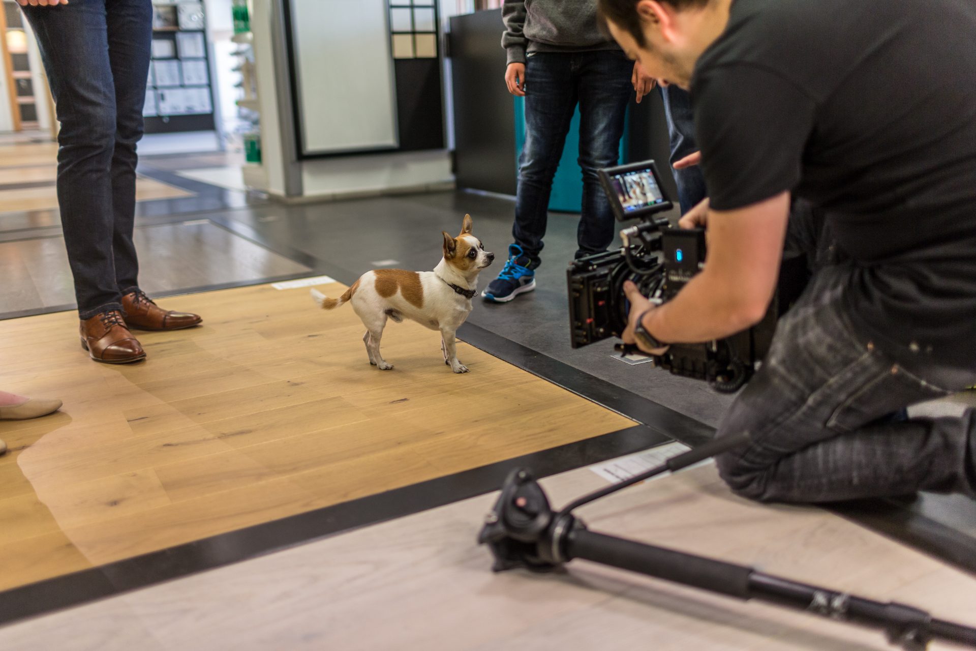 Behind the Scenes: Stockvideo Trends 2026: Was kommt als Nächstes?